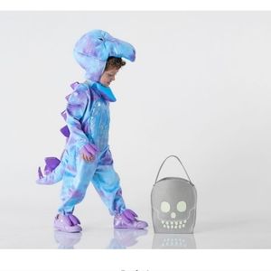 Pottery Barn Costume dinosaur 3t
